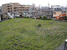 ベストライフ二子新地の施設内のイメージ画像1枚目です。