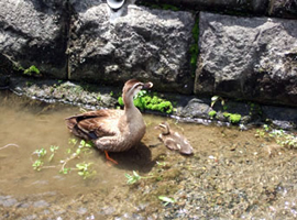 ベストライフ高幡の施設内のイメージ画像3枚目です。